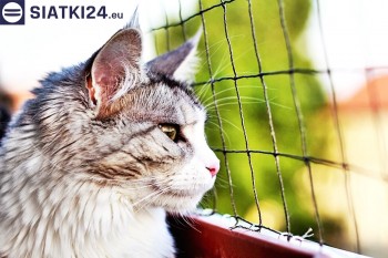Siatki Nowy Dwór Mazowiecki - Siatka na balkony dla kota i zabezpieczenie dzieci dla terenów Nowego Dworu Mazowieckiego