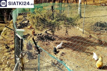 Siatki Nowy Dwór Mazowiecki - Siatka na woliery - zabezpieczenia ptaków w hodowli dla terenów Nowego Dworu Mazowieckiego